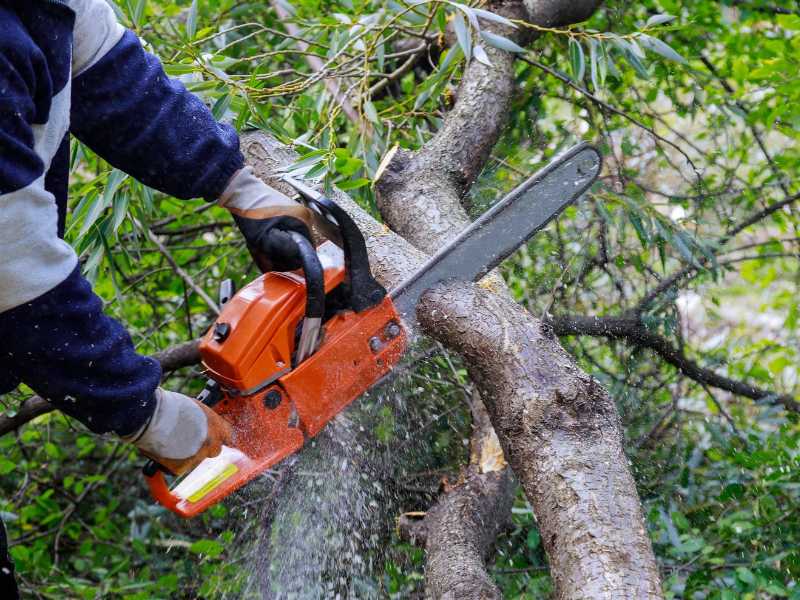 Husqvarna motorne pile za pouzdanost u svakom rezu