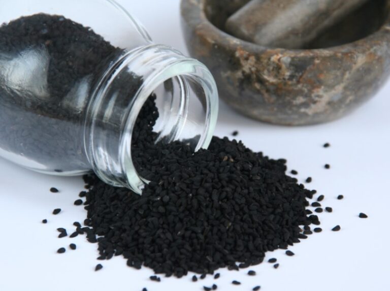 Moć crnog kima i njegovo porijeklo