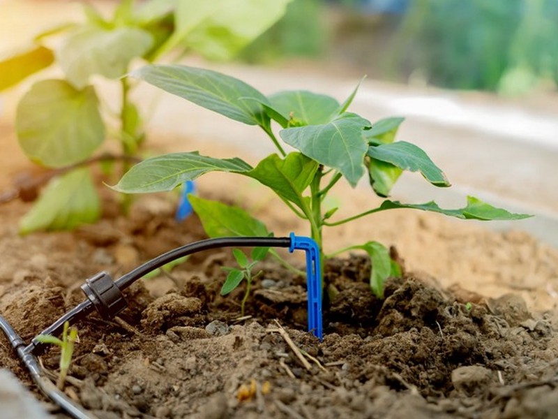 Sustav navodnjavanja za vrt za povrtnjake