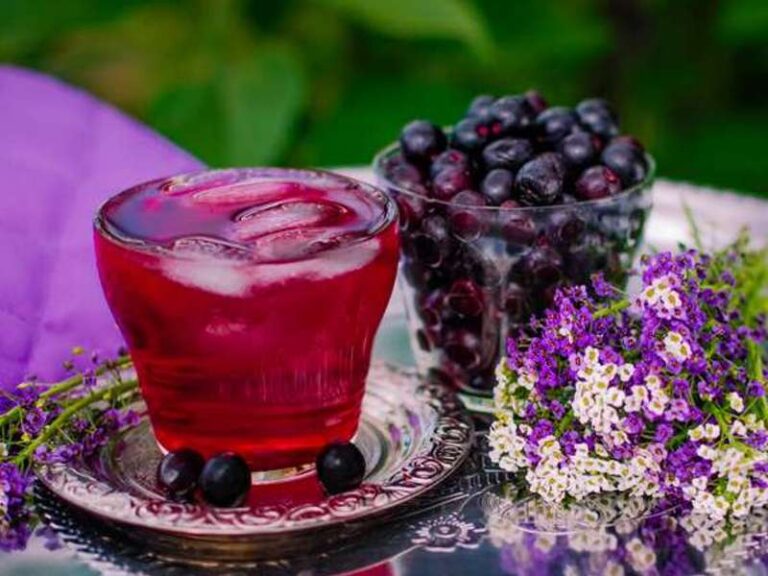 Sok od aronije je prirodna snaga koja jača organizam